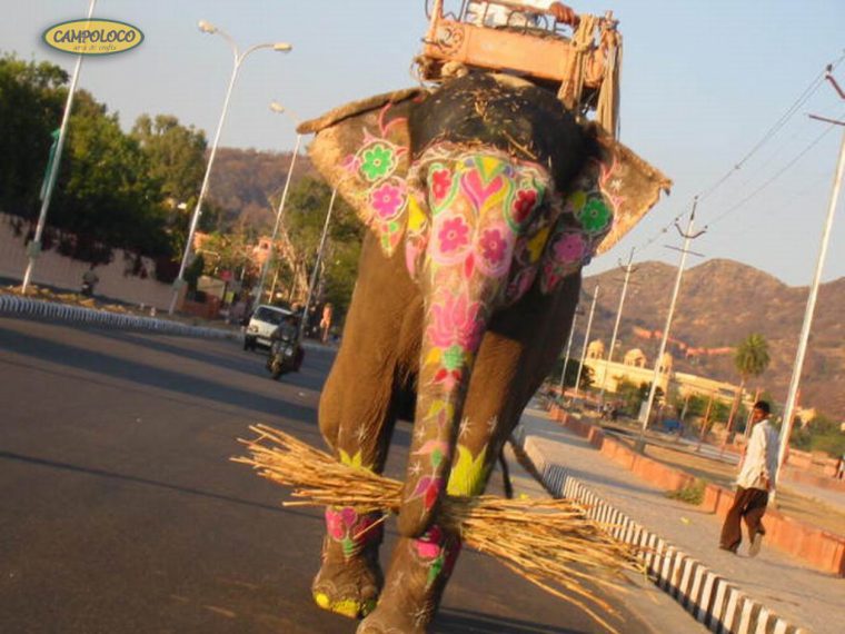 Quiénes somos y qué pretendemos con este blog.